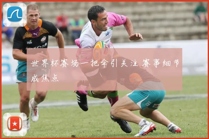 世界杯赛场一把伞引关注 赛事细节成焦点
