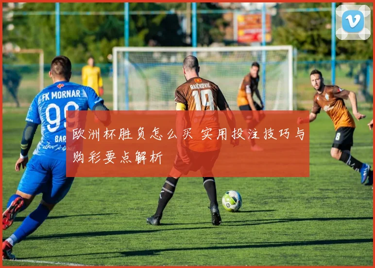 欧洲杯胜负怎么买 实用投注技巧与购彩要点解析