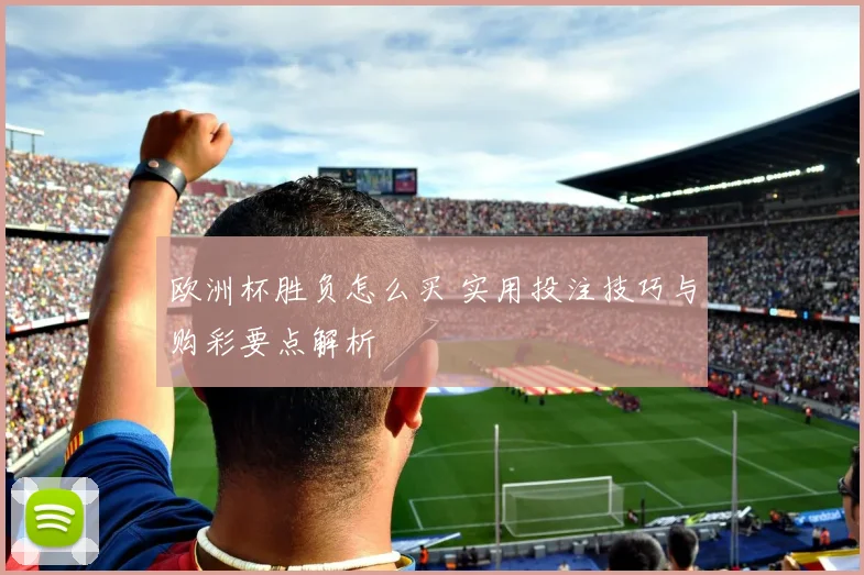 欧洲杯胜负怎么买 实用投注技巧与购彩要点解析
