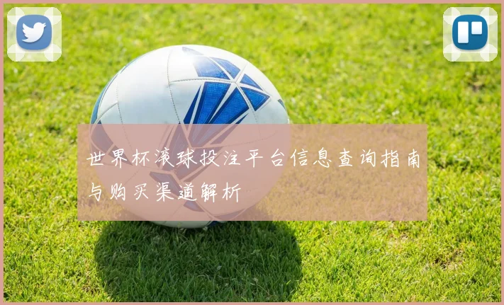 世界杯滚球投注平台信息查询指南与购买渠道解析