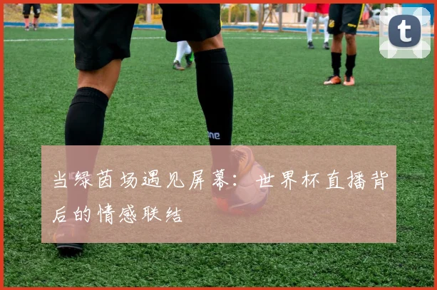 当绿茵场遇见屏幕：世界杯直播背后的情感联结