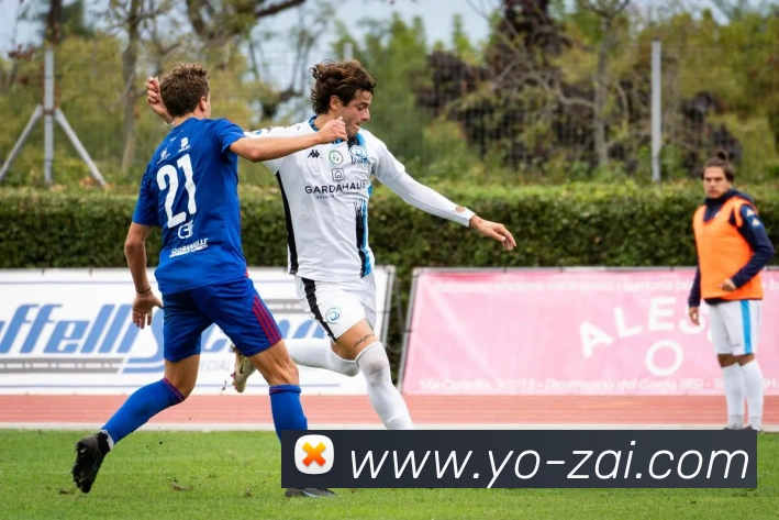 博鱼首页官网APP 高清赛事图